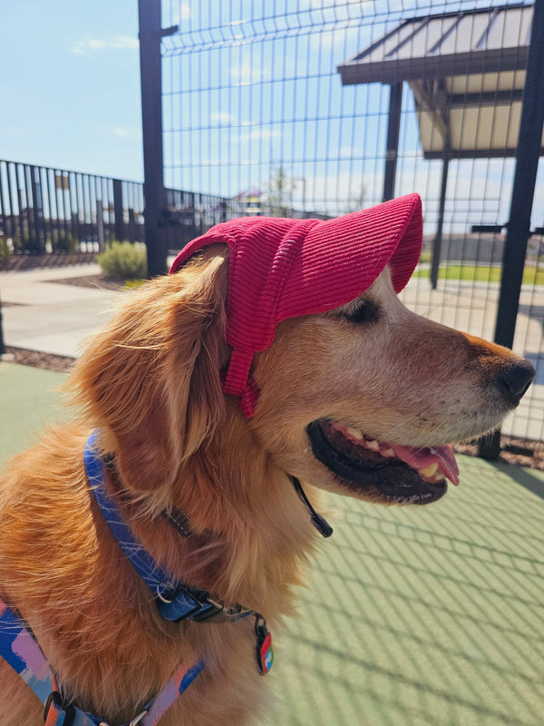 Fashionable Corduroy Dog Hat